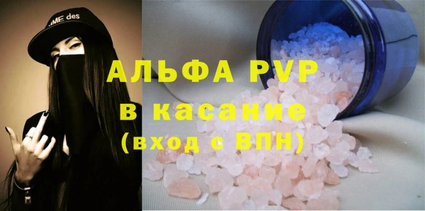 стаф Абинск