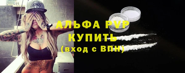 стаф Абинск