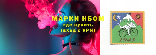 стаф Абинск