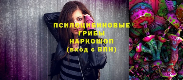 стаф Абинск