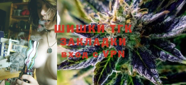 стаф Абинск