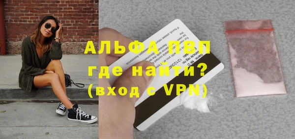стаф Абинск