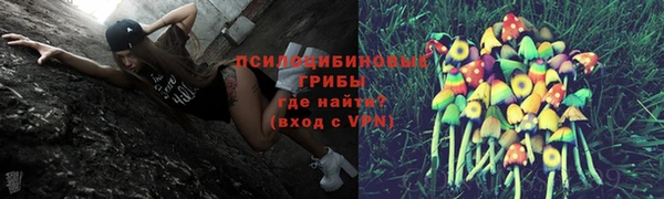 дурь Абдулино