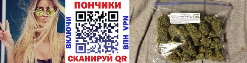 купить наркотики цена  Отрадное  Бошки Шишки VHQ 